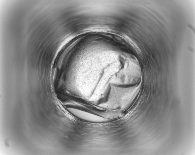 X0000093421240200711021008