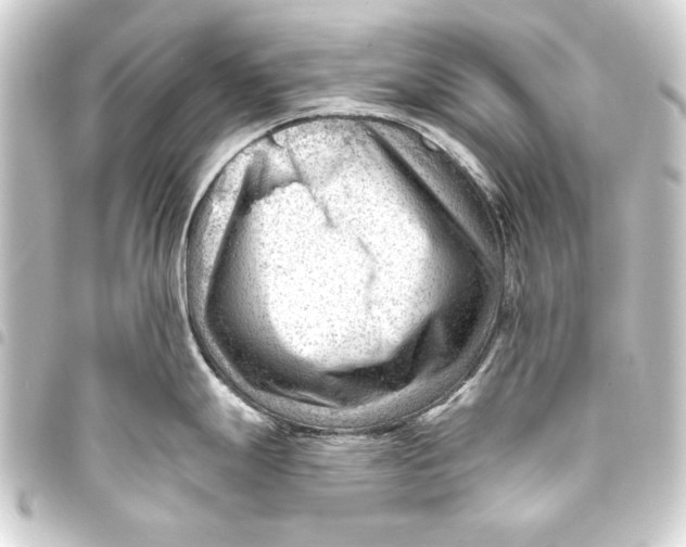 X0000093421247200711021008