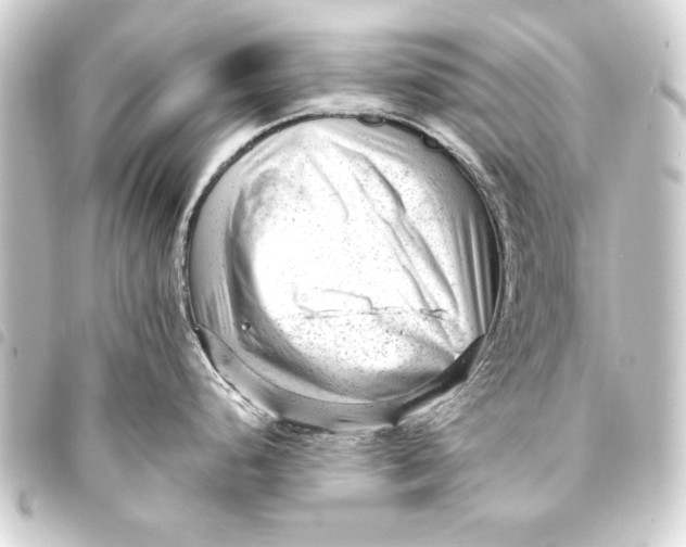 X0000093421248200711021008