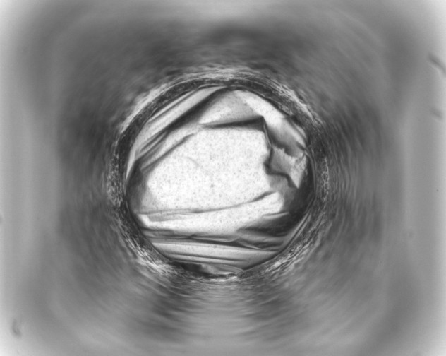 X0000093421256200711021008