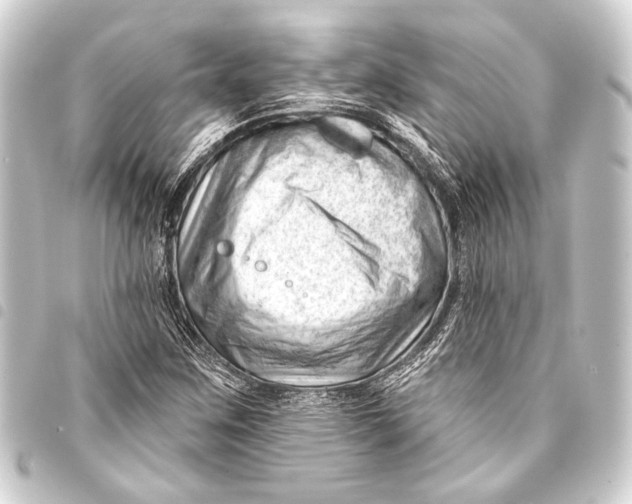 X0000093421259200711021008