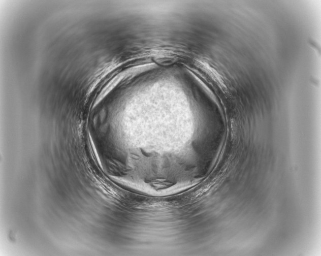 X0000093421260200711021008