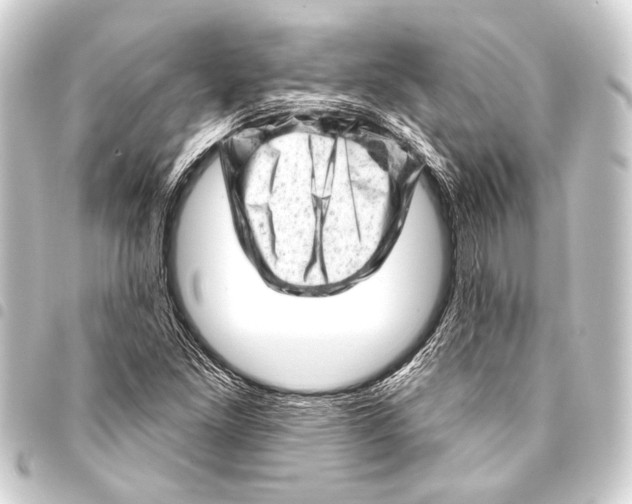 X0000093421261200711021008