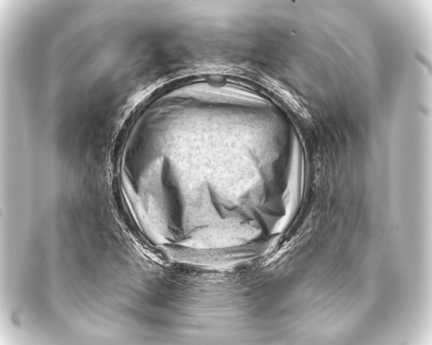 X0000093421264200711021008