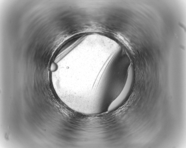 X0000093421268200711021008