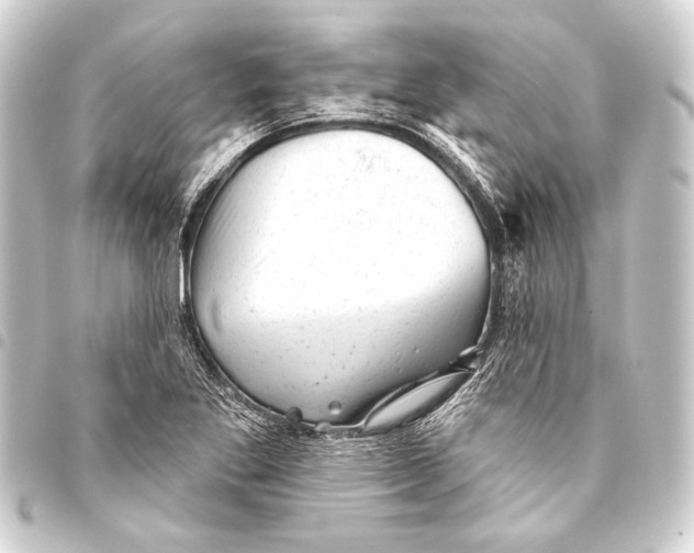 X0000093421269200711021007