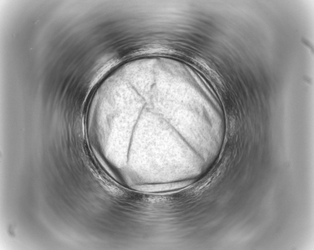 X0000093421274200711021007