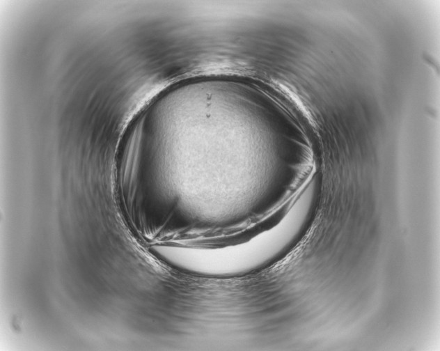 X0000093421277200711021007