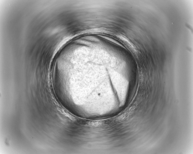 X0000093421278200711021007