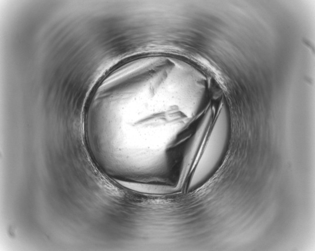 X0000093421280200711021007