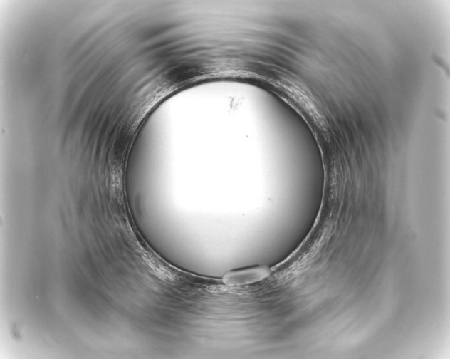 X0000093421281200711021007