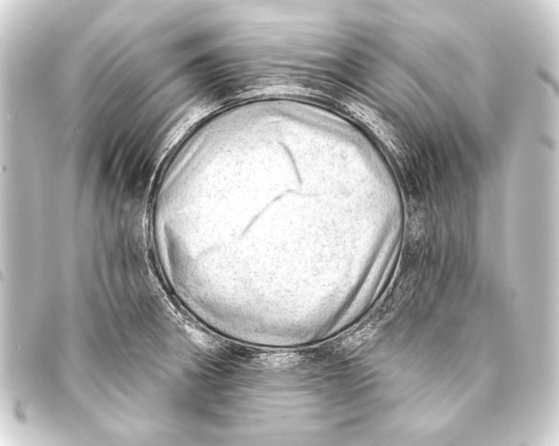 X0000093421282200711021007