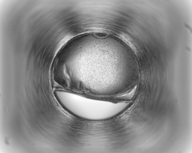 X0000093421283200711021007