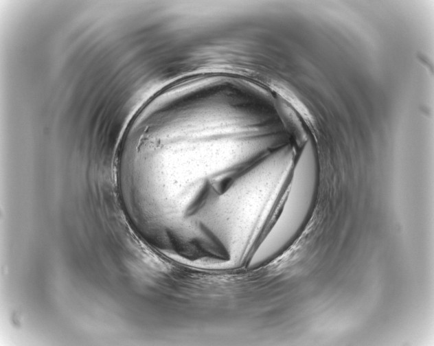 X0000093421292200711021007