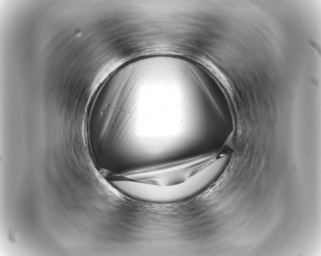 X0000093421293200711021007