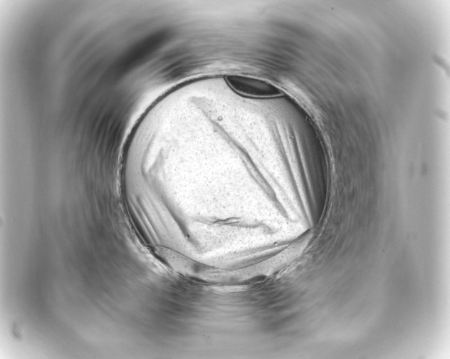 X0000093421296200711021007