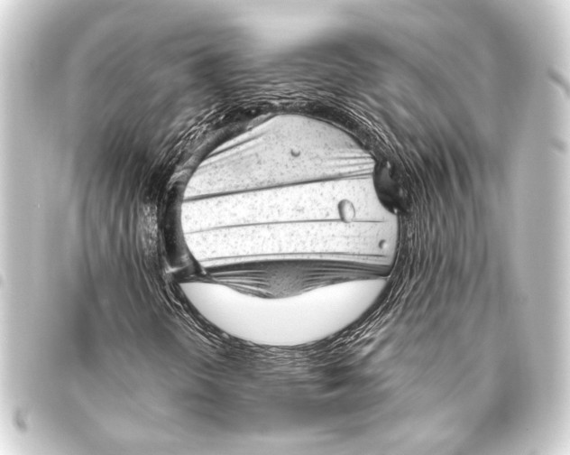 X0000093421298200711021007