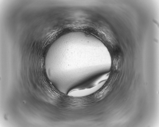 X0000093421300200711021007