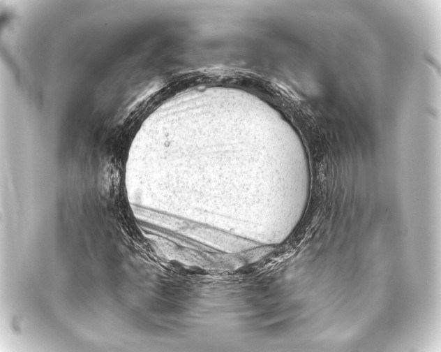 X0000093421302200711021007