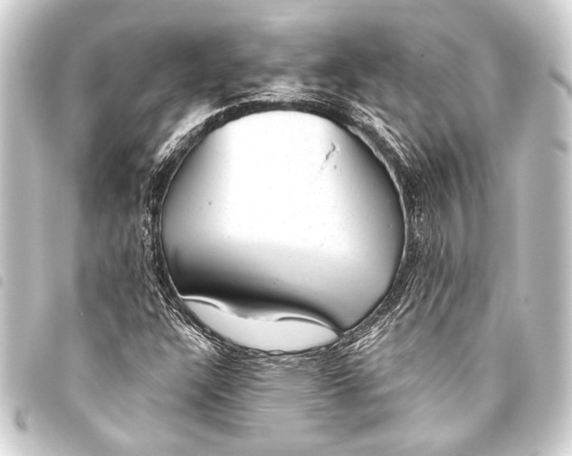 X0000093421304200711021007