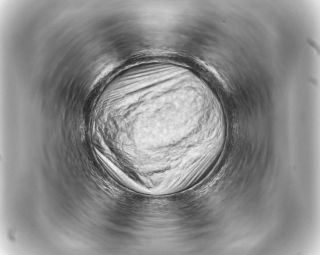 X0000093421306200711021007