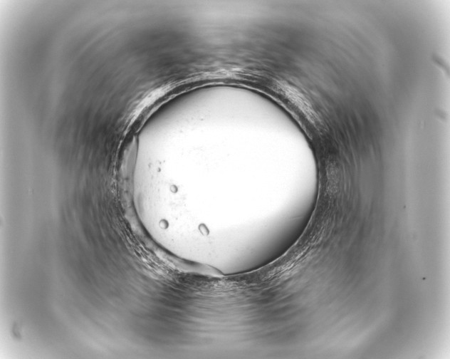 X0000093421308200711021007