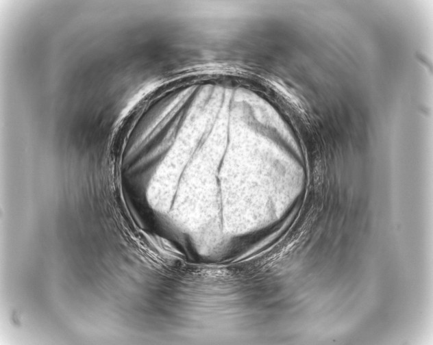 X0000093421310200711021007