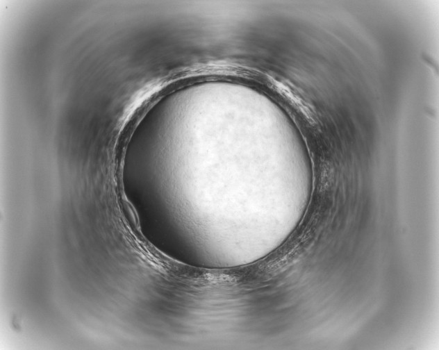 X0000093421312200711021007