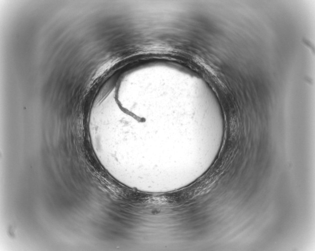 X0000093421315200711021007