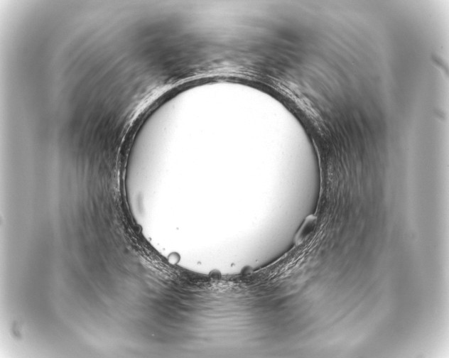 X0000093421316200711021007