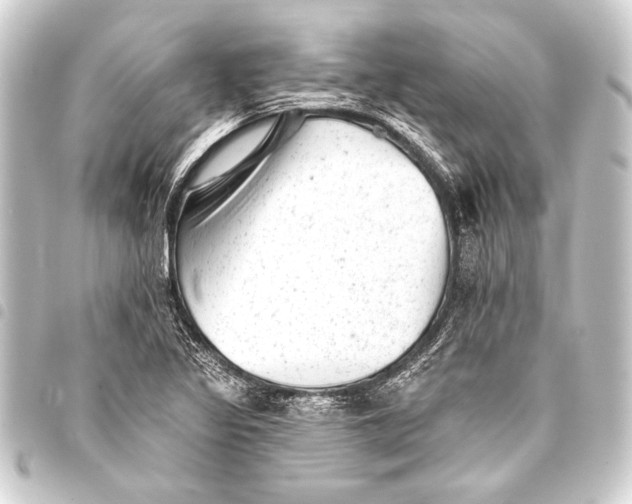 X0000093421317200711021007