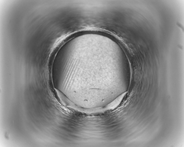 X0000093421319200711021007