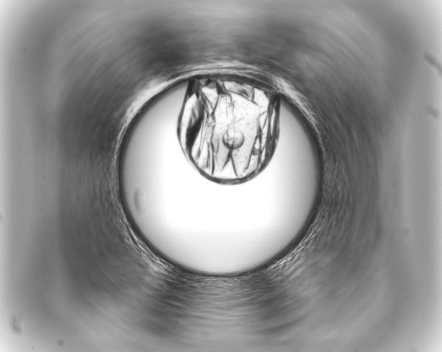 X0000093421320200711021007