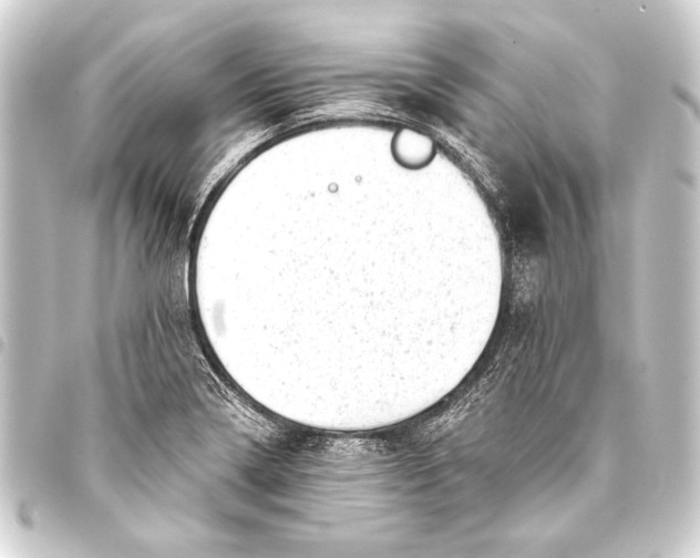 X0000093421322200711021007