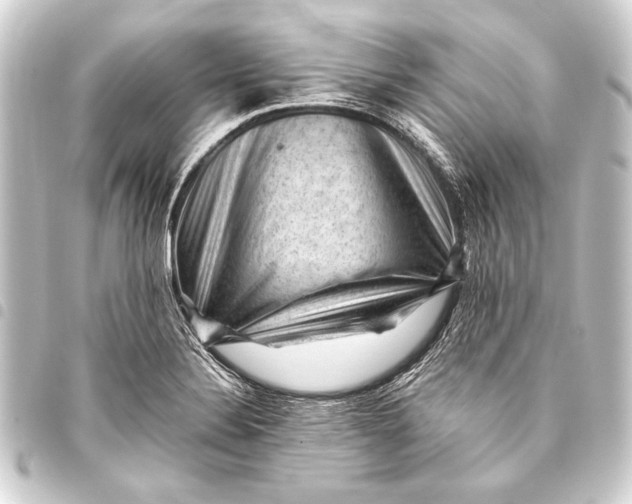 X0000093421324200711021007