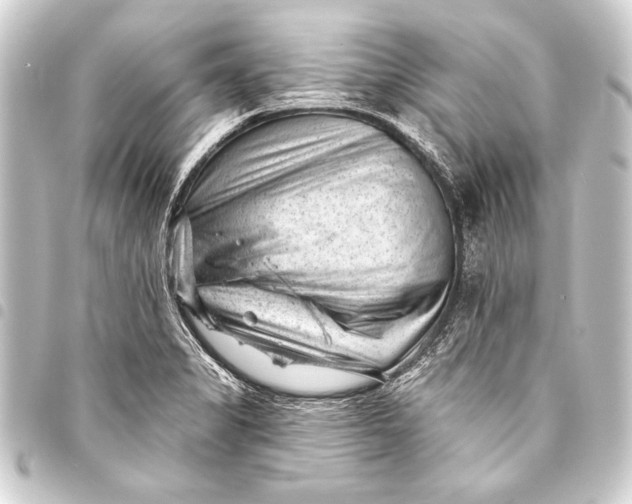 X0000093421325200711021007