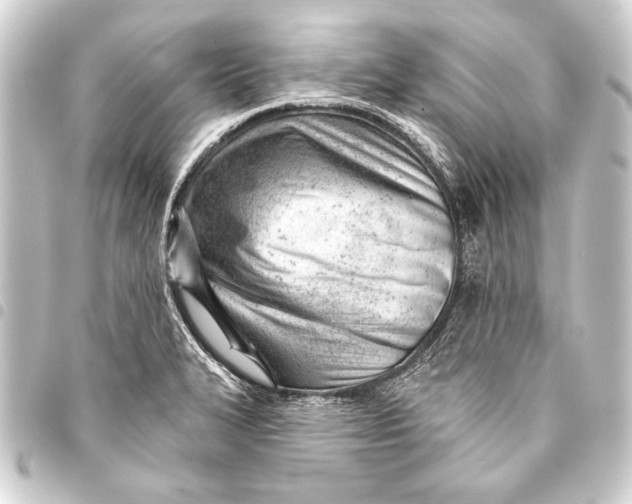 X0000093421327200711021007