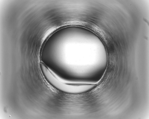 X0000093421328200711021007