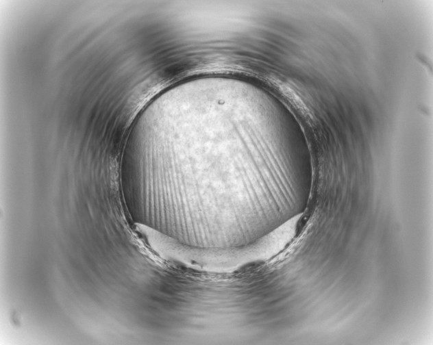 X0000093421329200711021007