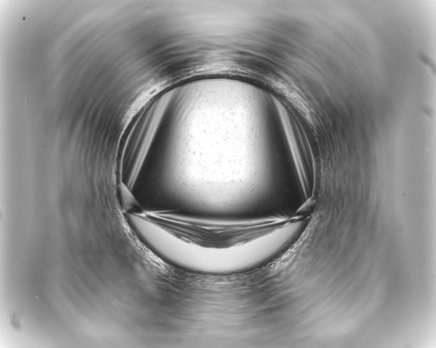 X0000093421330200711021007