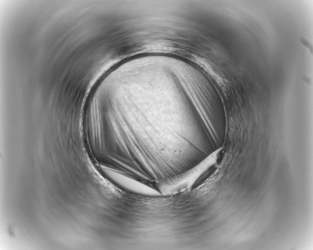 X0000093421331200711021007