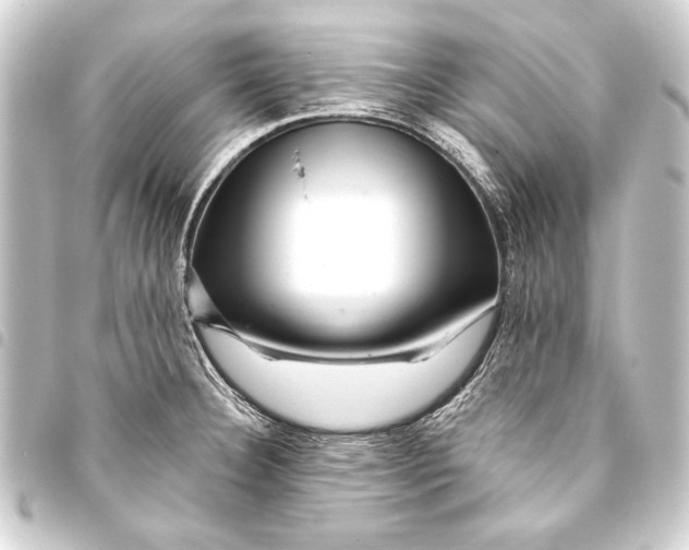 X0000093421332200711021007