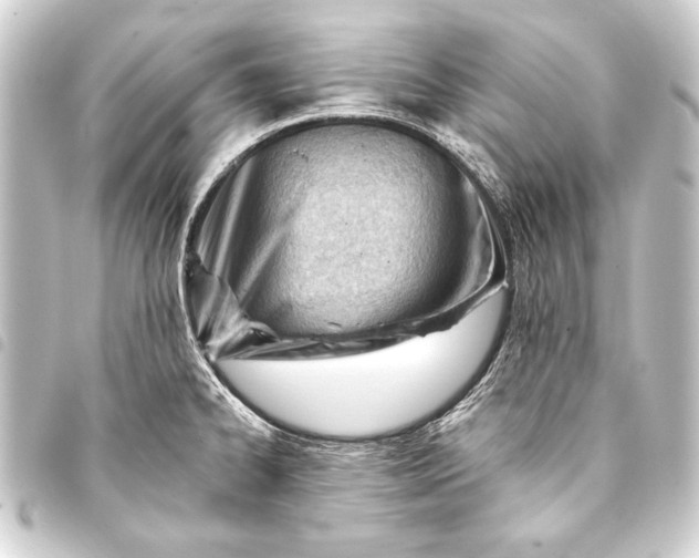 X0000093421334200711021007