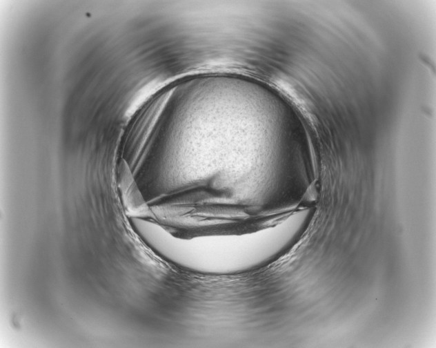 X0000093421336200711021007