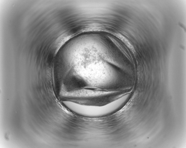 X0000093421337200711021007