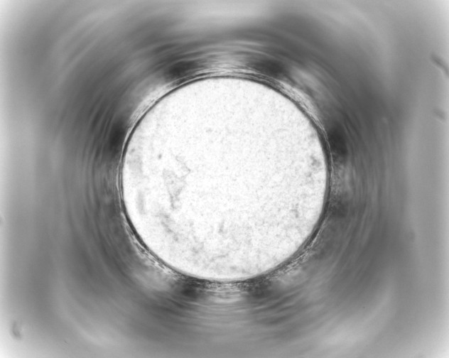 X0000093421338200711021007