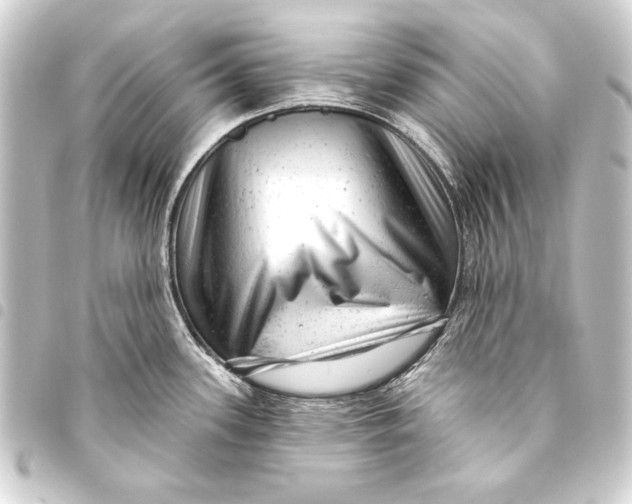 X0000093421339200711021007