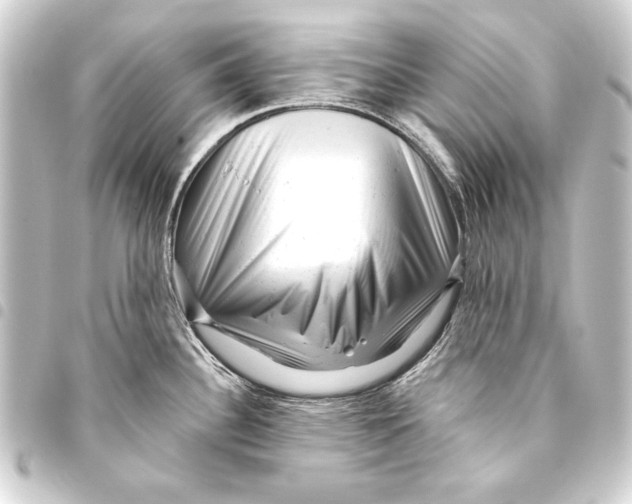 X0000093421340200711021007