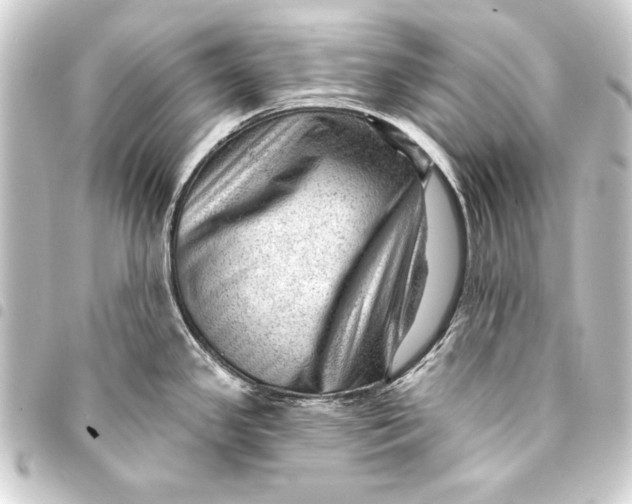 X0000093421341200711021007