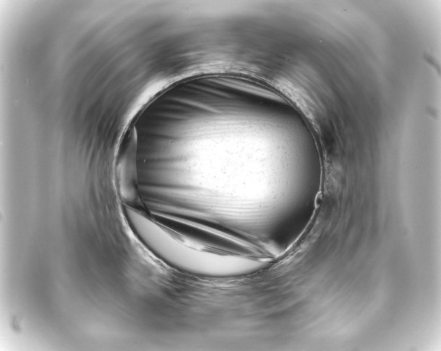 X0000093421342200711021007